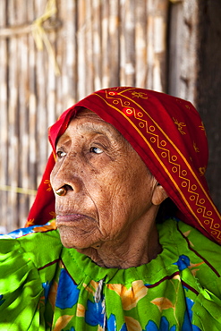 Kuna woman with gold nose ring, San Blas Islands, Panama, Central America