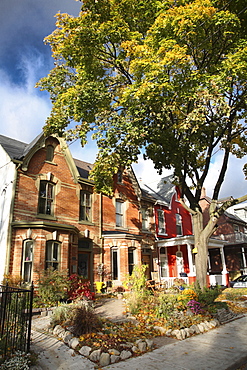 Victorian houses in the fall, Toronto, Ontario, Canada, North America