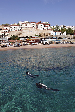 Scuba divers enjoy the clear Red Sea waters at Sharks Bay, Sharm el-Sheikh, Sinai South, Egypt, North Africa, Africa