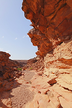 Erosion helps form stunning formations in the red rocks of the Coloured Canyon, Sinai South, Egypt, North Africa, Africa