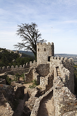 Moorish Castle (Castelo dos Mouros) walls and ramparts, UNESCO World Heritage Site, Sintra, District of Lisbon, Portugal, Europe