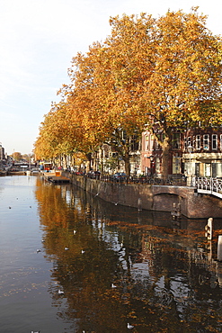 Autumnal leaves reflect in the water of a canal in central Utrecht, Utrecht Province, Netherlands, Europe