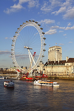 Cruise boats sail past County Hall and the London Eye on the South Bank of the River Thames, London, England, United Kingdom, Europe