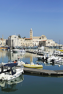 Boats in the harbour by the cathedral of St. Nicholas the Pilgrim (San Nicola Pellegrino) in Trani, Apulia, Italy, Europe