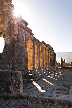 The ruins of the Roman city of Volubilis, Morocco, North Africa, Africa