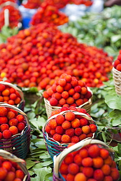 Arbutus in a fruit shop, Medina, Fez, Morocco, North Africa, Africa