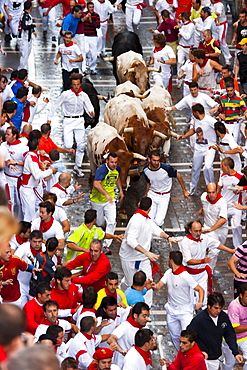 Running of the bulls, San Fermin festival, Pamplona, Navarra (Navarre), Spain, Europe