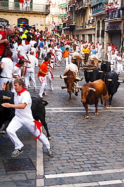 Eighth and last Encierro (running of the bulls), San Fermin festival, Pamplona, Navarra (Navarre), Spain, Europe