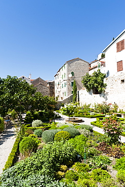 Medieval mediterranean garden of St. Lawrence Monastery, Sibenik, Dalmatia region, Croatia, Europe