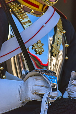 Guardsman, Horse Guards Parade, Whitehall, London, England, United Kingdom, Europe