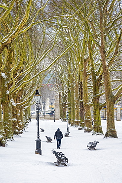 Green Park in the snow, London, England, United Kingdom, Europe