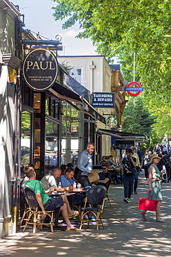 Holland Park Avenue, Holland Park, Kensington and Chelsea, London, England, United Kingdom, Europe