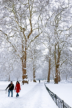 St. James Park, London, England, United Kingdom, Europe