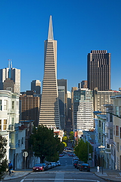 Downtown and TransAmerica Building from Telegraph Hill Historic District, San Francisco, California, United States of America, North America