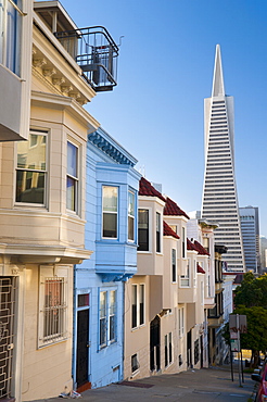 Downtown and TransAmerica Building from Telegraph Hill Historic District, San Francisco, California, United States of America, North America