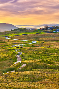 Pen-y-ghent one of the Yorkshire Three Peaks, Ribble Valley, Yorkshire Dales National Park, North Yorkshire, England, UK 