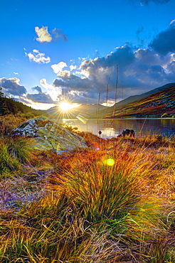 Dyffryn Mymbyr (Vale of Mymbyr), Llynnau Mymbyr (Mymbyr Lakes), Mount Snowdon beyond, Snowdonia National Park, Conwy-Gwynedd, Wales, United Kingdom, Europe