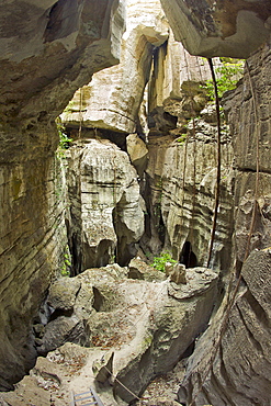 View of the tourist hiking trail through the limestone karsts of the Grand Tsingy in Tsingy De Bemaraha National Park, UNESCO World Heritage Site, western Madagascar, Madagascar, Africa