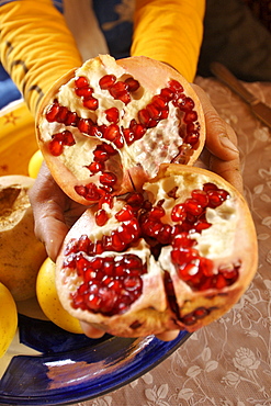 A berber man holds an open pomegranate displaying the edible red berries inside.