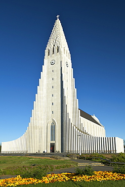 Hallgrimur's Church (Hallgrimskirkja), Reykjavik, Iceland, Polar Regions