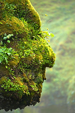 Human facelike features in the rockface surrounding Skogar waterfall in the southwest, Iceland, Polar Regions