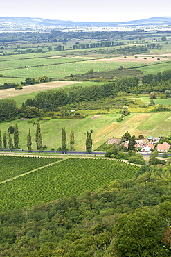 View from Szigliget fort near Lake Balaton, Hungary, Europe