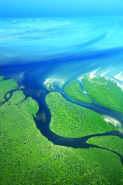 Mangroves along the coast of the Quirimbas National Park in Mozambique, Africa