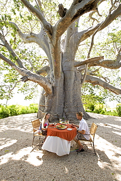 Lunch under the giant baobab tree at Matemo lodge in the Quirimbas archipelago in Mozambique, Africa