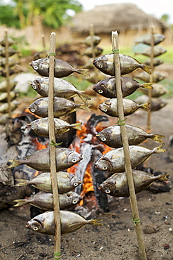 Fish cooking in Guludo village in the Quirimbas National Park in northern Mozambique, Africa