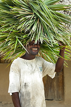 Man carrying reeds on his head in Guludo village in the Quirimbas National Park in northern Mozambique, Africa