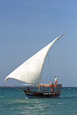 Dhow sailing in the Quirimbas archipelago off the coast of northern Mozambique, Indian Ocean, Africa