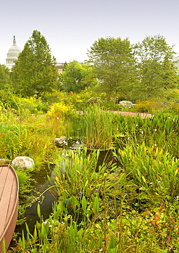 U.S. Botanical Gardens in Washington D.C., United States of America, North America