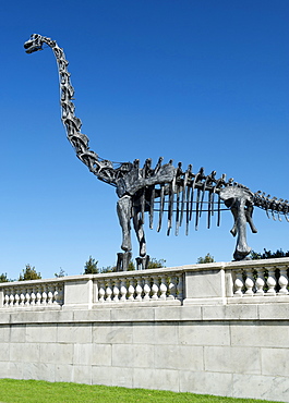 Brachiosaurus sculpture outside the Field Museum of Natural History in Chicago, Illinois, United States of America, North America