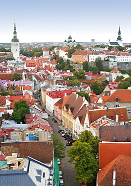 View over the rooftops of the old town of Tallinn, UNESCO World Heritage Site, Estonia, Baltic States, Europe