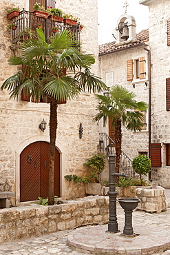 Courtyard with palm trees in the old town of Kotor, UNESCO World Heritage Site, Montenegro, Europe