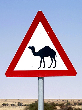 Camel road sign in Qatar.