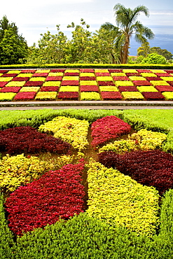 Botanical gardens in Funchal, Madeira.