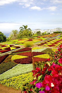 Botanical gardens in Funchal, Madeira.