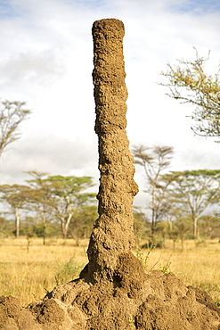 Anthill in Kidepo Valley National Park in northern Uganda.