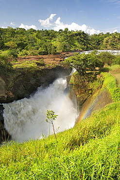 View of Murchison Falls on the Victoria Nile River in the Murchison Falls National Park in Uganda.