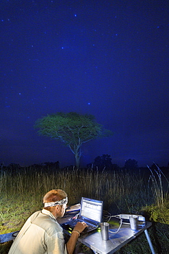 A night time view of a man working at a laptop alongside a Land Rover and tent pitched in a game park.