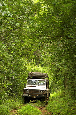 Land Rover Defender in the Budongo Forest Reserve in Uganda.