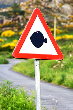 Road sign with fish outline in the Galicia region of Spain.