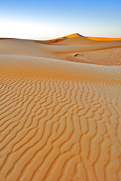 Dawn over Wahiba Sands (Ramlat al Wahaybah) in Oman.