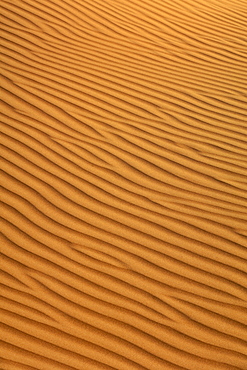 Patterns in the sand in Wahiba Sands (Ramlat al Wahaybah) in Oman.