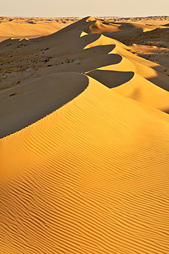 View across Wahiba Sands (Ramlat al Wahaybah) in Oman.