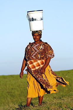 A Xhosa woman walking with a bucket of water on her head, as is traditional in the Eastern Cape Province of South Africa.