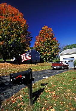 Autumn maple leaves, part of the beautiful New England fall display, at homes near Holliston in October, Massachusetts, USA