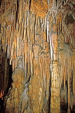 Stalactites and columns at King Solomon's Cave in the Mole Creek Karst National Park, the north, Tasmania, Australia, Pacific