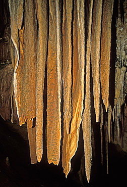 'Bacon strip' curtain formations at King Solomon's Cave in the Mole Creek Karst National Park, the north, Tasmania, Australia, Pacific